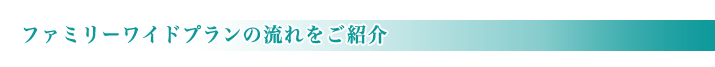 家族葬ファミリーワイドプランの流れ